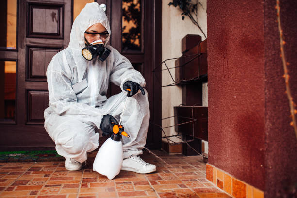 Reliable Wasp Removal contractor in Ferrum, VA by Show Me Pest Control