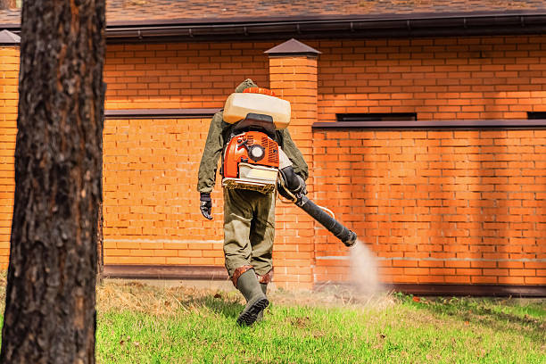Top rated local Wasp Removal specialists in Ferrum, VA